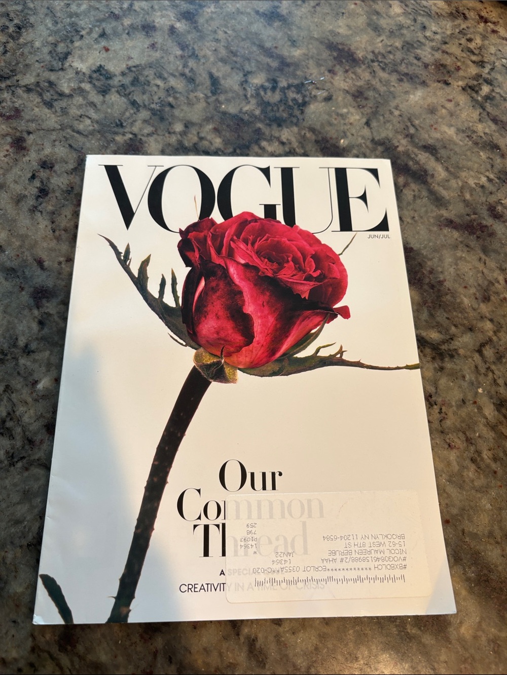 Vogue Red Rose Cover
